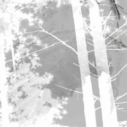 Oaks Of Bethel : Disembodied III